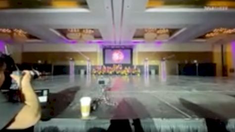 Ultimate Dance & Cheer  - Senior All Stars [Senior Large Pom] 2020 All Star Season Celebration