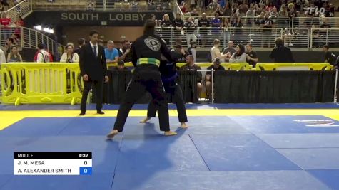 JASON M. MESA vs ALBERT ALEXANDER SMITH 2024 Pan Jiu Jitsu IBJJF Championship