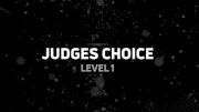 Watch The U.S. Finals Judges Choice Level 1 Routines!