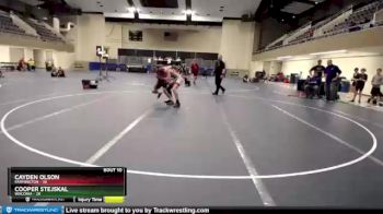 115 lbs Round 4 (6 Team) - Cayden Olson, Farmington vs Cooper Stejskal, Waconia