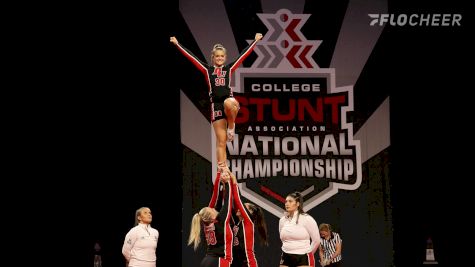 Happy 10th Birthday STUNT!