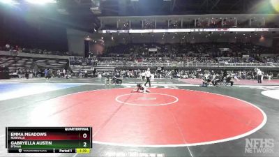 131 lbs Quarterfinal - Emma Meadows, Roseville vs Gabryella Austin, Pitman