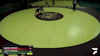95 lbs Semis (4 Team) - Wyatt Peterson, Roseau vs Tucker Johnson, PLPRB