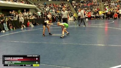 75 lbs Champ. Round 1 - Charlie Haneborg, Midwest Destroyers vs Bently Havorka, Nebraska Elite