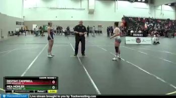 136 lbs Round 1 (16 Team) - Destiny Campbell, Iowa Wesleyan vs Mea Mohler, Texas Wesleyan