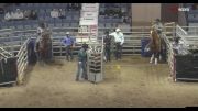 Watch Johnson & Woolsey's 3.6 Second Run At Agribition Again