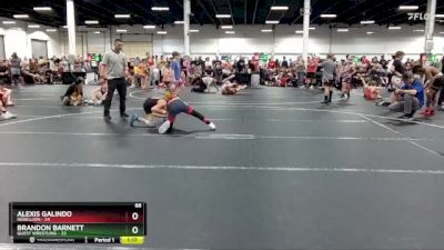 88 lbs Round 4 (8 Team) - Alexis Galindo, Rebellion vs Brandon Barnett, Quest Wrestling