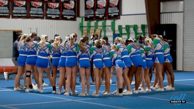 Talk Stunts With The Stingray Allstars Sugar