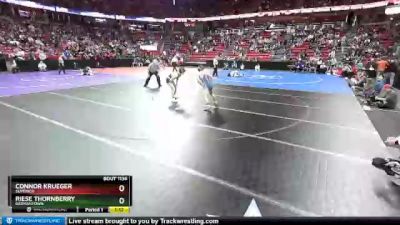 D1-138 lbs Quarterfinal - Connor Krueger, Superior vs Riese Thornberry, Germantown