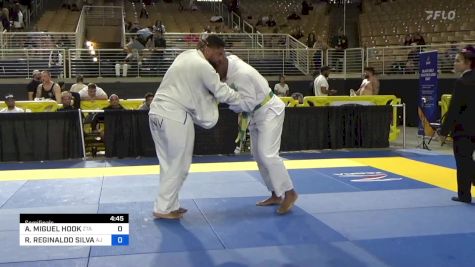 AUSTIN MIGUEL HOOK vs RENNAN REGINALDO SILVA 2024 Pan Jiu Jitsu IBJJF Championship