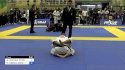 BRUNO HENRIQUE MEIRELES ROCHA vs WILLIAN RIBEIRO LEMES 2024 Brasileiro Jiu-Jitsu IBJJF