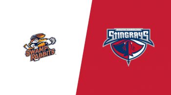 Highlights: Swamp Rabbits vs Stingrays