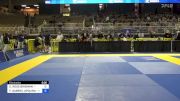 EVAN ROSS BRIGMAN vs FERNANDO GABRIEL APOLINARIO 2024 Pan Jiu Jitsu IBJJF Championship