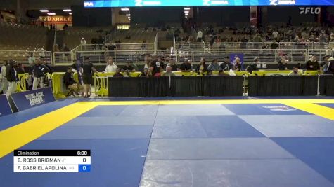 EVAN ROSS BRIGMAN vs FERNANDO GABRIEL APOLINARIO 2024 Pan Jiu Jitsu IBJJF Championship