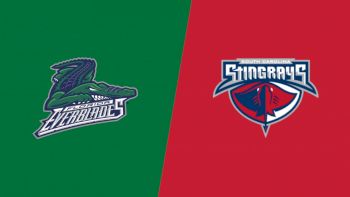 Highlights: Everblades vs Stingrays