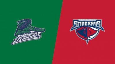 Highlights: Everblades vs Stingrays