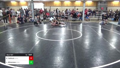 152 lbs Quarterfinal - Kameron Hallock, Deposit vs Luca Albanese, Wind Gap