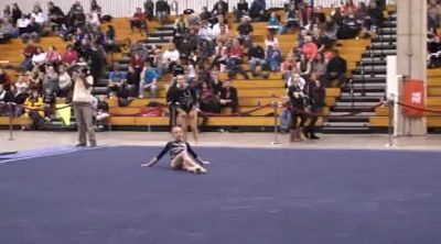 Aerial Athletics (Eileen Imbus)