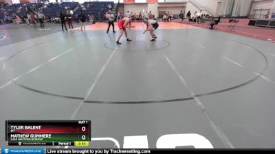 174 lbs Quarterfinal - Tyler Balent, RIT vs Mathew Gummere, Case Western Reserve