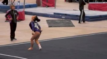 Mary Jane Rott ChicagoStyle (Floor 9.65)