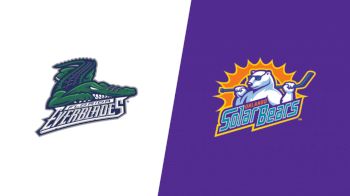 Highlights: Everblades vs Solar Bears