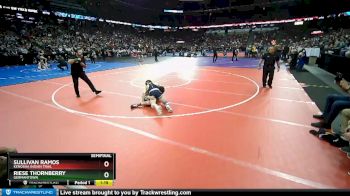 D1-138 lbs Semifinal - Sullivan Ramos, Kenosha Indian Trail vs Riese Thornberry, Germantown
