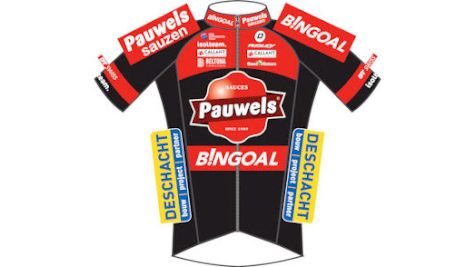 Paewels Sauzen - Bingoa