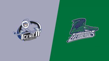 Highlights: Icemen vs Everblades
