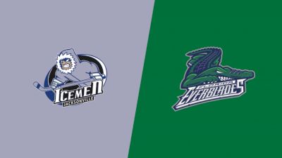 Highlights: Icemen vs Everblades