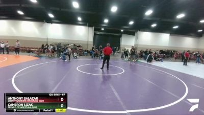 67 lbs 3rd Place Match - Anthony Salazar, Liberty Warriors Wrestling Club vs Cameron Lizak, Texas Elite Wrestling Club