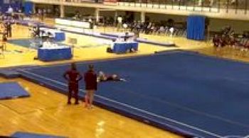 Springfield (Abby Clark) - 9.100
