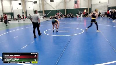 120 lbs Placement Matches (16 Team) - Dominic Molina, Kearney Catholic vs Ryan Hartmann, Bellevue West