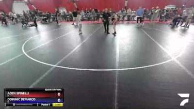 71 lbs Quarterfinal - Aden Spinelli, IL vs Dominic DeMarco, IL