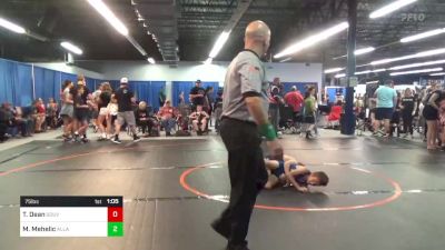 75 lbs Rr Rnd 3 - Troy Dean, Gouverneur WC vs Maddox Mehelic, All American