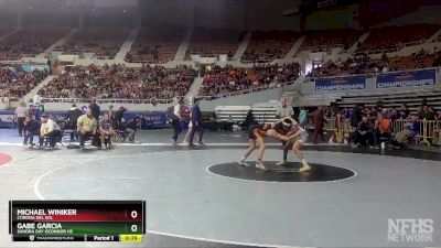 D1-113 lbs 5th Place Match - Michael Winiker, Corona Del Sol vs Gabe Garcia, Sandra Day OConnor Hs