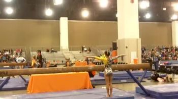 Ultimate Fusion (Ava Ramadan)