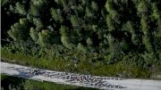 Replay: 2021 Arctic Race of Norway Stage 3