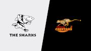 Replay: Sharks vs Cheetahs | Aug 15