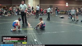 64 lbs Finals (8 Team) - Theo Bales, Contenders Wrestling Academy Blue vs Broxton Richardson, Team Palmetto