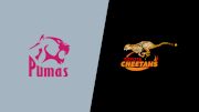 Replay: New Nations Pumas vs Cheetahs | Aug 21