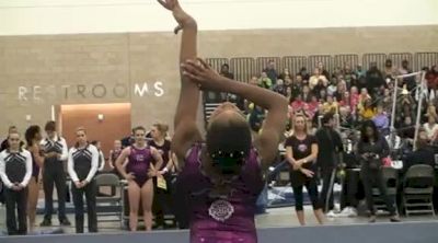 Team Vise (Asia DeWalt)