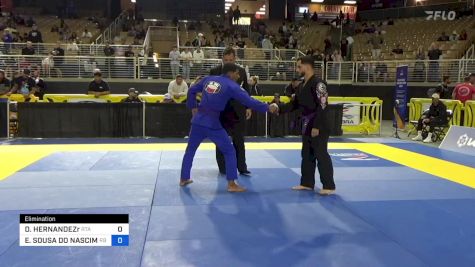 DAVID HERNANDEZr vs EDUARDO SOUSA DO NASCIMENTO 2024 Pan Jiu Jitsu IBJJF Championship