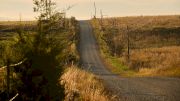 If 150 Miles Of Gravel Isn't Enough, Now You Can Run 50k Of Gravel Too