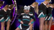 It's All About The Girls: Palm City Dolphins