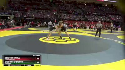 D3-175 lbs Cons. Semi - Connor Havill, Troy Christian vs Cannon Endicott, Elmwood