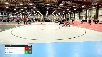 170 lbs Rr Rnd 3 - Easton Dickerson, MI Bad Boys Gold vs Sepanta Ahanj-Elias, Shore Thing Wave