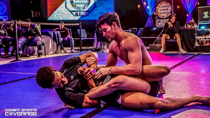 combat sports coverage.webp