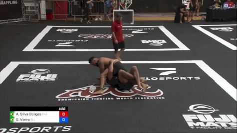Alexandre Silva Borges vs Gustavo Vieira 2024 ADCC South American Trials 2
