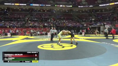 D1-144 lbs Cons. Round 3 - A.J. Parish, Perrysburg vs Marshall Geckler, Mass. Perry