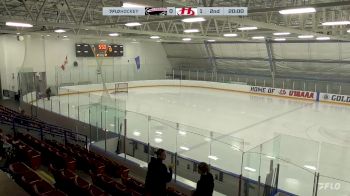 Replay: Home - 2024 Airdrie Bisons vs Hurricanes | Feb 11 @ 2 PM